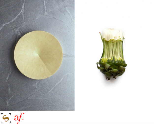 Screen Shot 2018-02-23 at 11.39.25