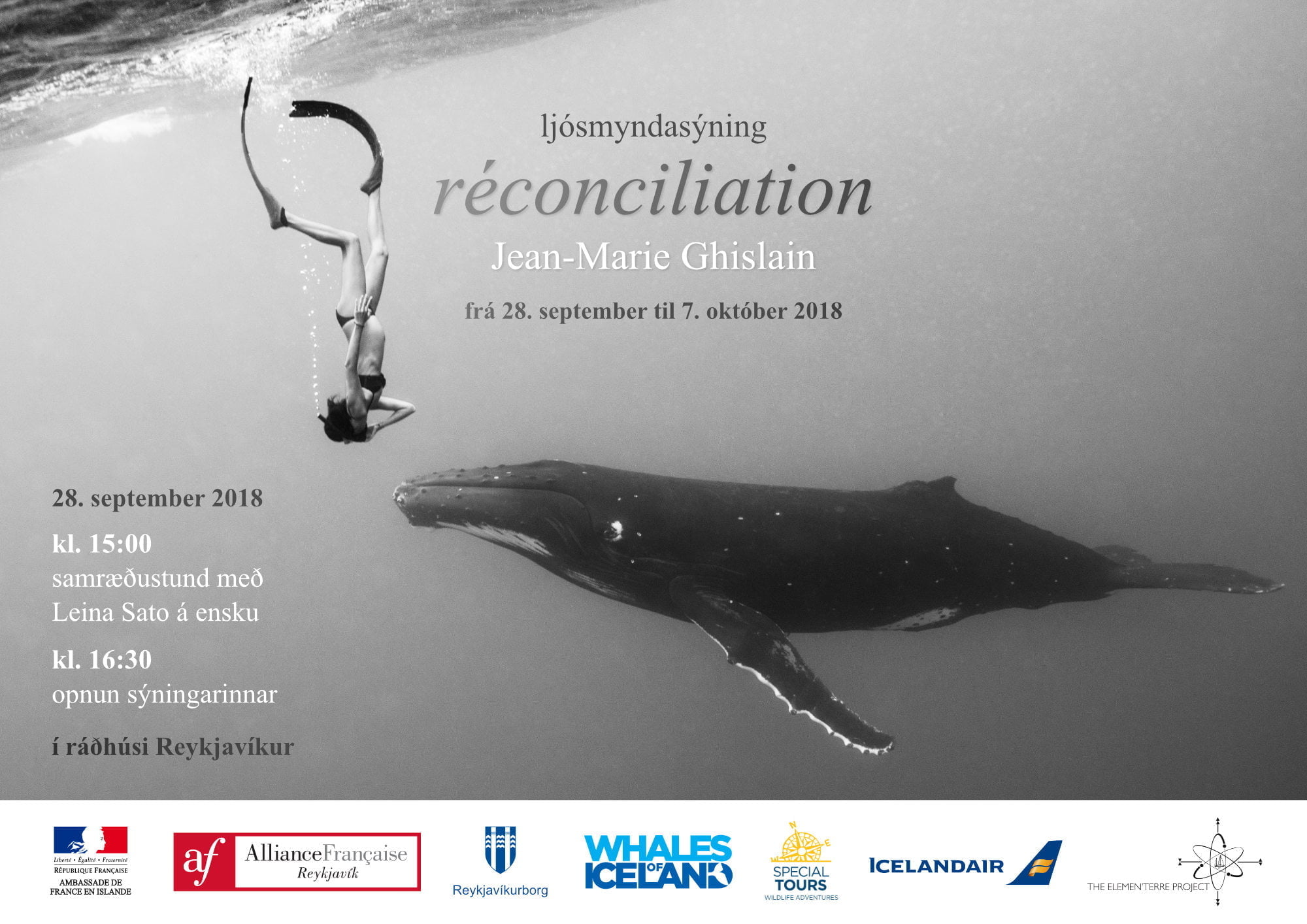 vignette baleine mairie SITE