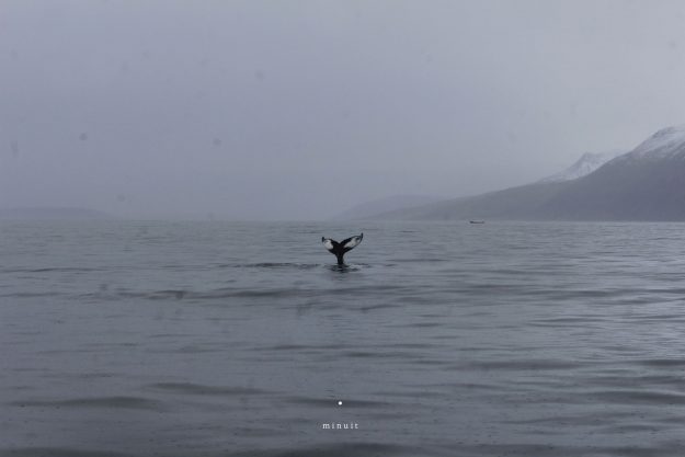 44490389_515130855622940_3618514748653436928_o