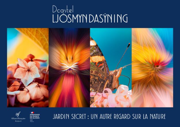 Vignette site internet