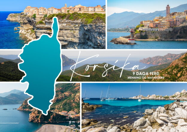 Vignette site internet