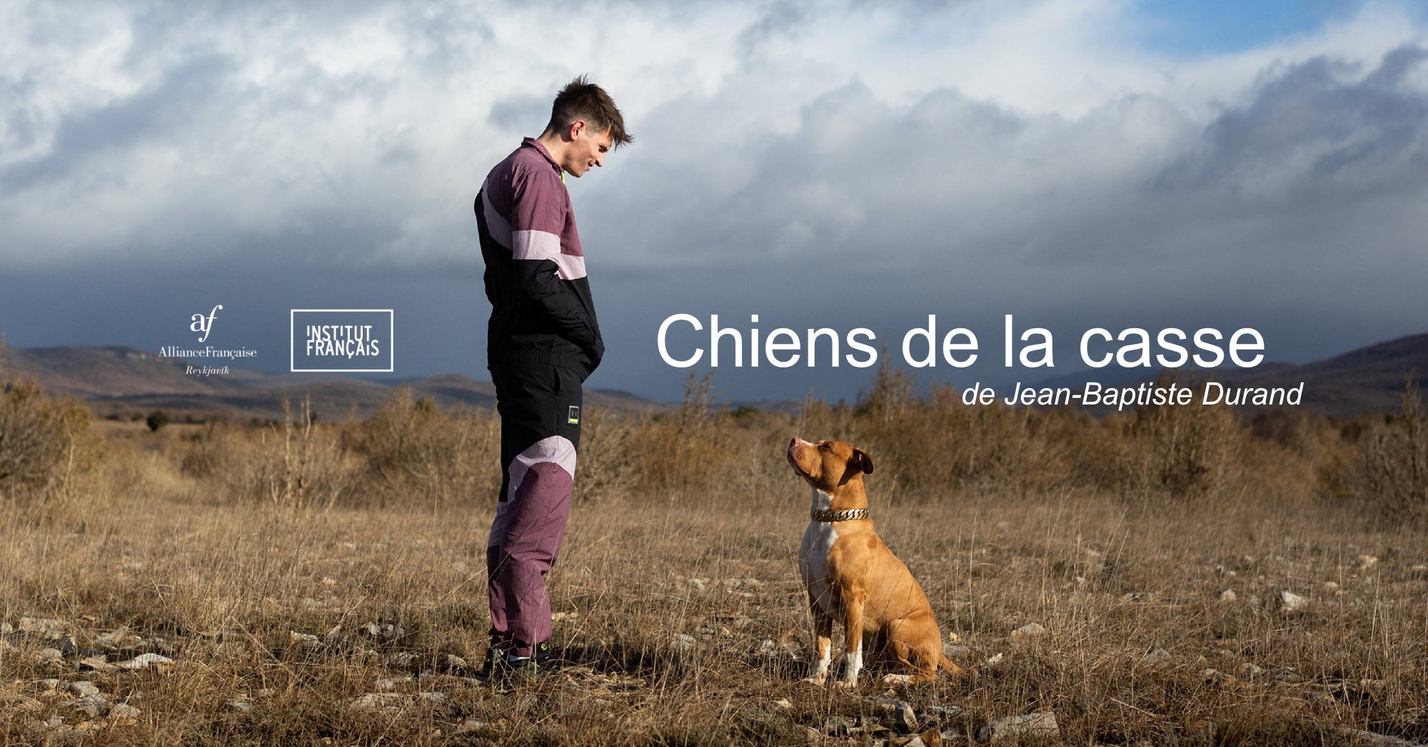 visuel_chiens_de_la_casse_FB