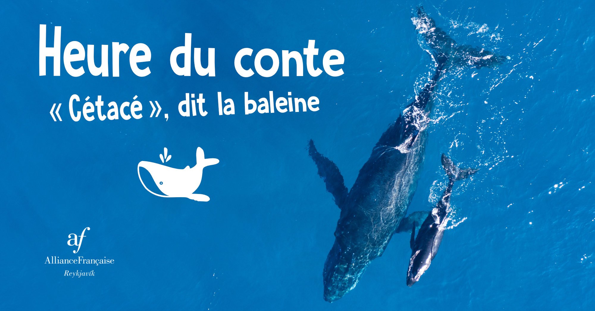 Cetace_dit_la_baleine_FB