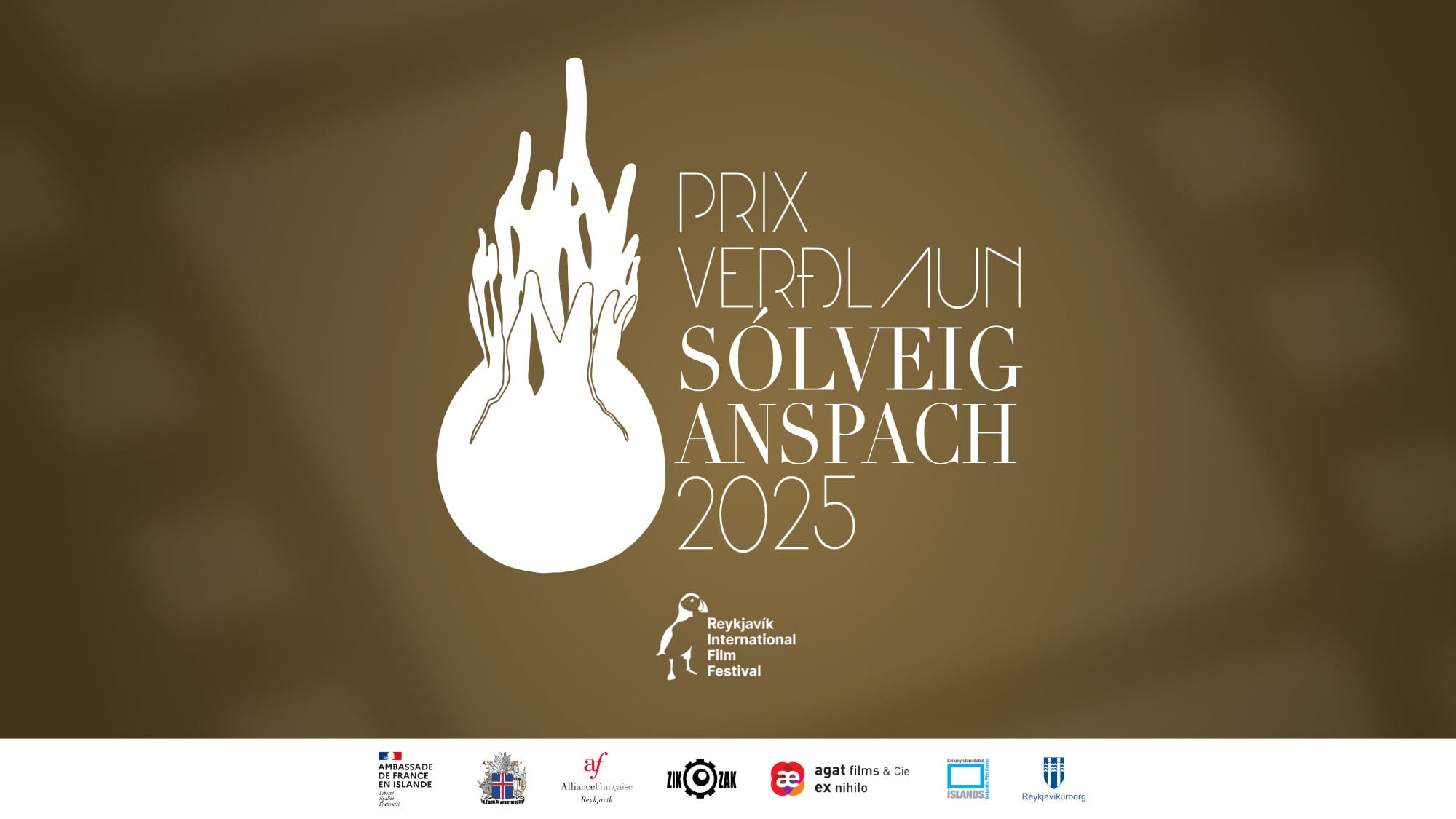 SA 2025 FB